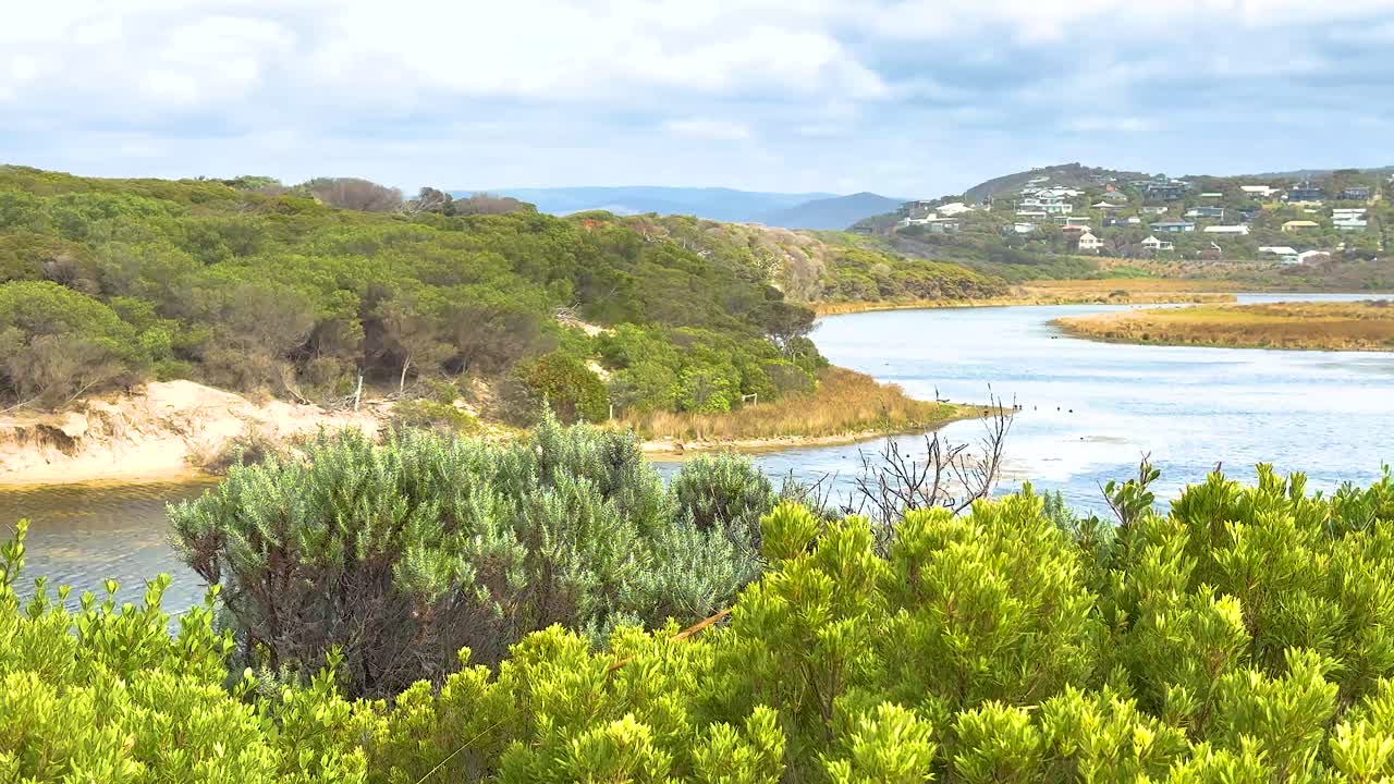 Lush greenery and winding coastline under bright daylight along Great Ocean Road, Australia. Captured with steady camera movement