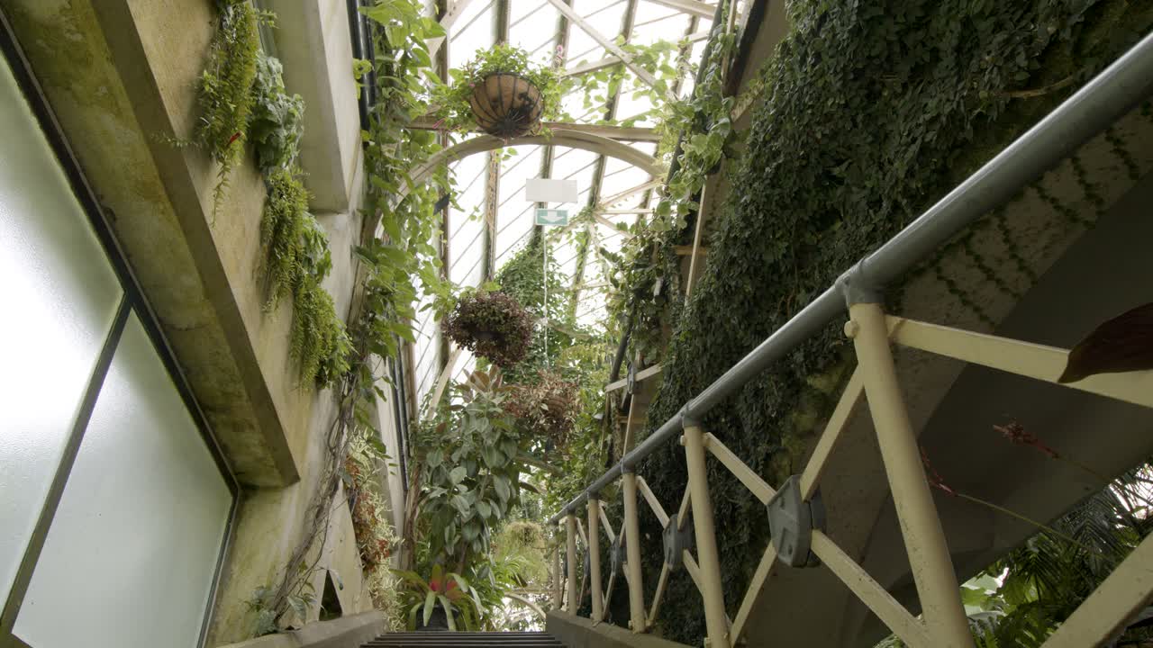 Steady camera movement up stairs inside conservatory.