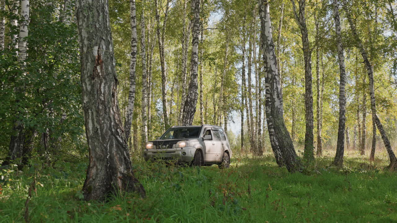 Veicolo nella natura. Un veicolo fuoristrada arriva in una tranquilla radura nel bosco. Un SUV avanza in un sereno boschetto di betulle, catturato da una prospettiva dal basso con movimento e dintorni naturali.