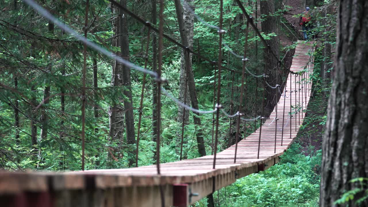 puente colgante de madera en un bosque exuberante
