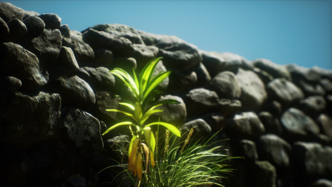 잉글랜드 북부 시골의 잔디와 돌 벽