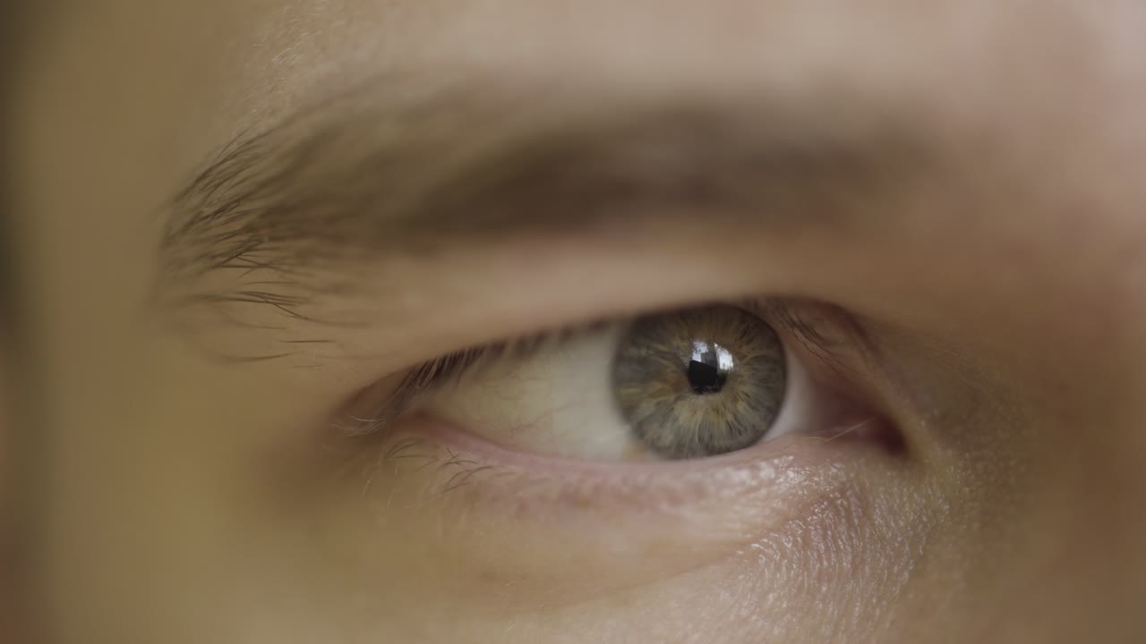 인간 눈의 클로즈업