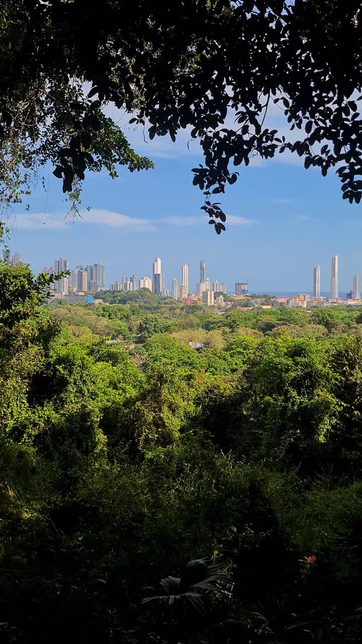 Vista vertical del horizonte de la Ciudad de Panamá desde el Parque Natural Metropolitano
