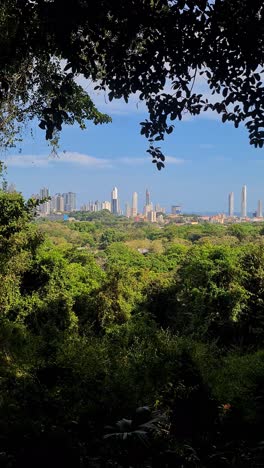 vertical view of panama city skyline from metropolitan natural park