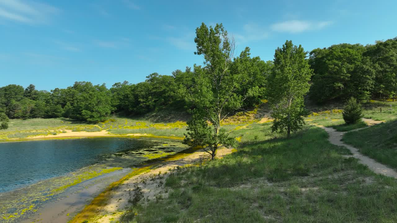 Spinning around a lush lakeside tree in early spring.
