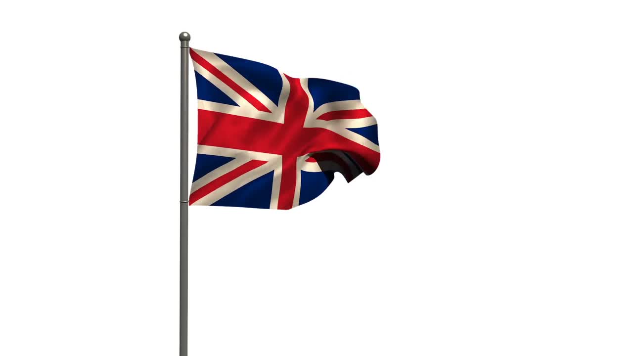 ⁇ 색 배경 에 있는 연합  ⁇ 발