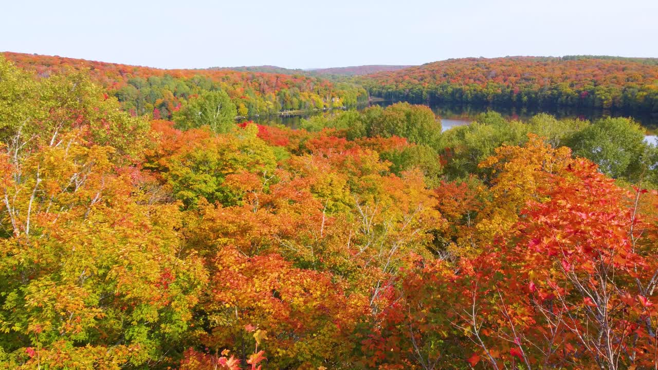 Rusty red, autumn’s breeze, orange hues paint Ontario’s falling leaves