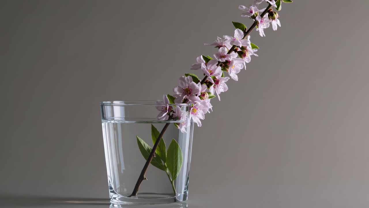 flores rosas en un vaso