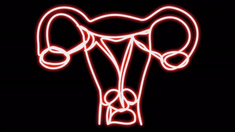 animación de neón de auto-dibujo de los órganos reproductivos de las mujeres.