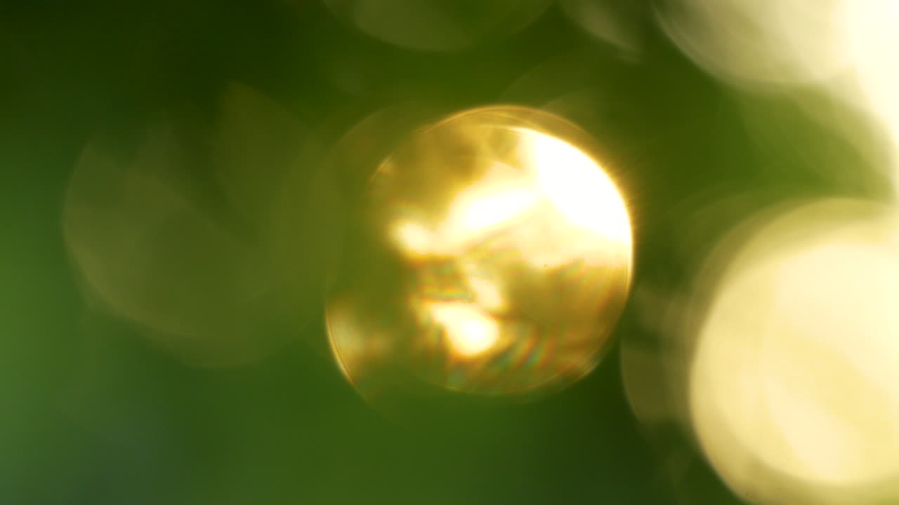 fondo abstracto del efecto bokeh en la naturaleza bosque árbol de fondo