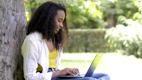 mujer negra usando computadora portátil en el parque