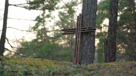 wooden cross leaning against a tree in a forest in the evening