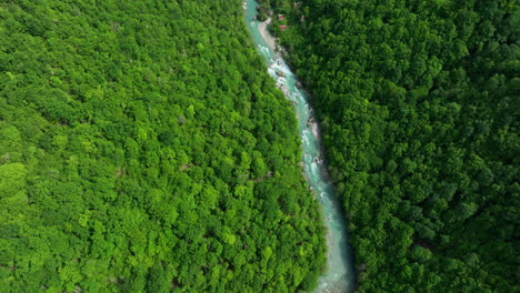 a bird's eye view of a wild mountain river of pure greenish color