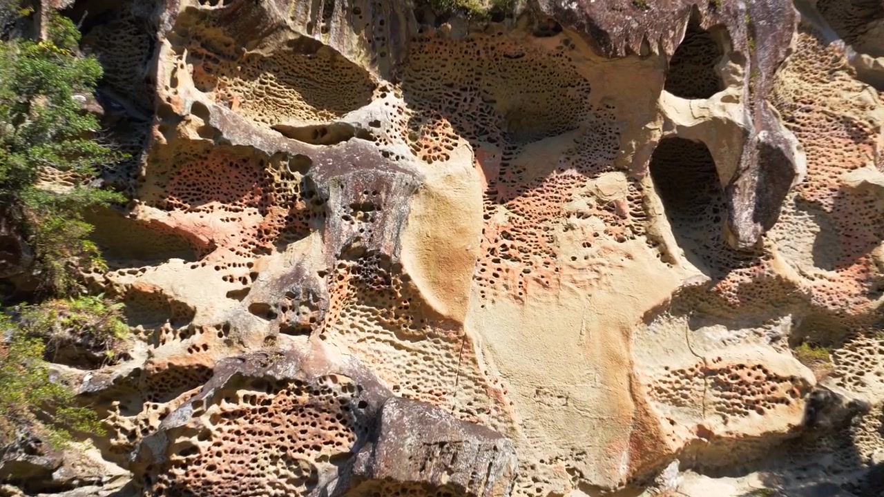 Wakayama, Giappone: Il filmato di repertorio si concentra sull'esclusiva 'Parete del Nido di Calabroni,' una parete con numerosi fori, rivelandone i dettagli intricati e la bellezza naturale.