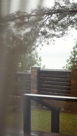 foggy garden view with wooden fence and trees