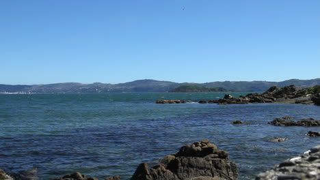 Paisaje-Marino-Costero-En-Nueva-Zelanda-En-La-Bahía-De-Wellington