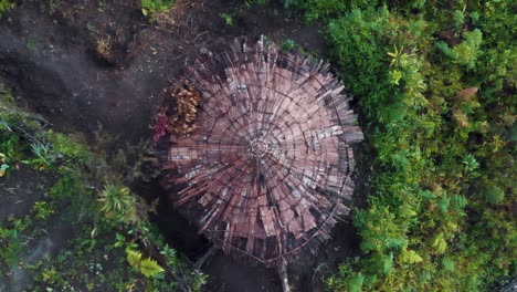 Impresionantes-Imágenes-Aéreas-De-Auténticas-Cabañas-Papúes,-Ubicadas-En-Lo-Alto-De-Las-Montañas-De-Papúa,-Indonesia