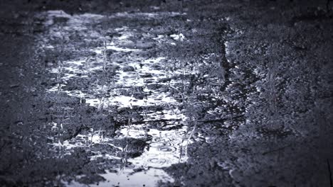 heavy rain shower downpour cloudburst rainfall behind the glass.