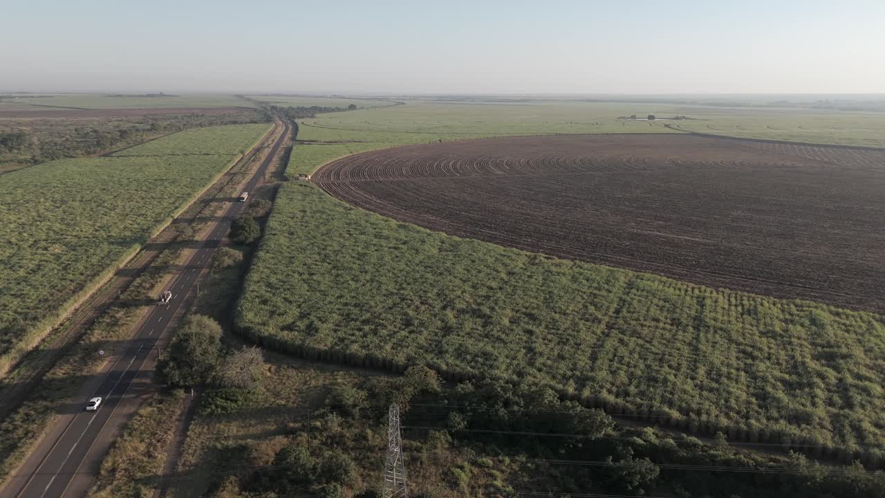 Campo de cultivo de caña de azúcar junto a una carretera de dos carriles a las afueras de Komatipoort, Sudáfrica