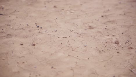 dry clay texture ground of colombian desert