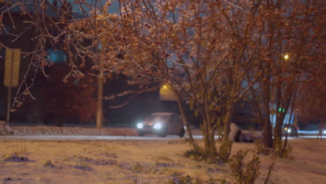 close up of tree branches with frost and red berries sparkling under golden light, complemented by a passing car with headlights on, blurred streetlights, and soft shadows