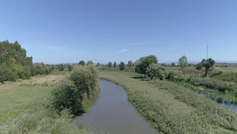 spring landscape of the swamp in the forest