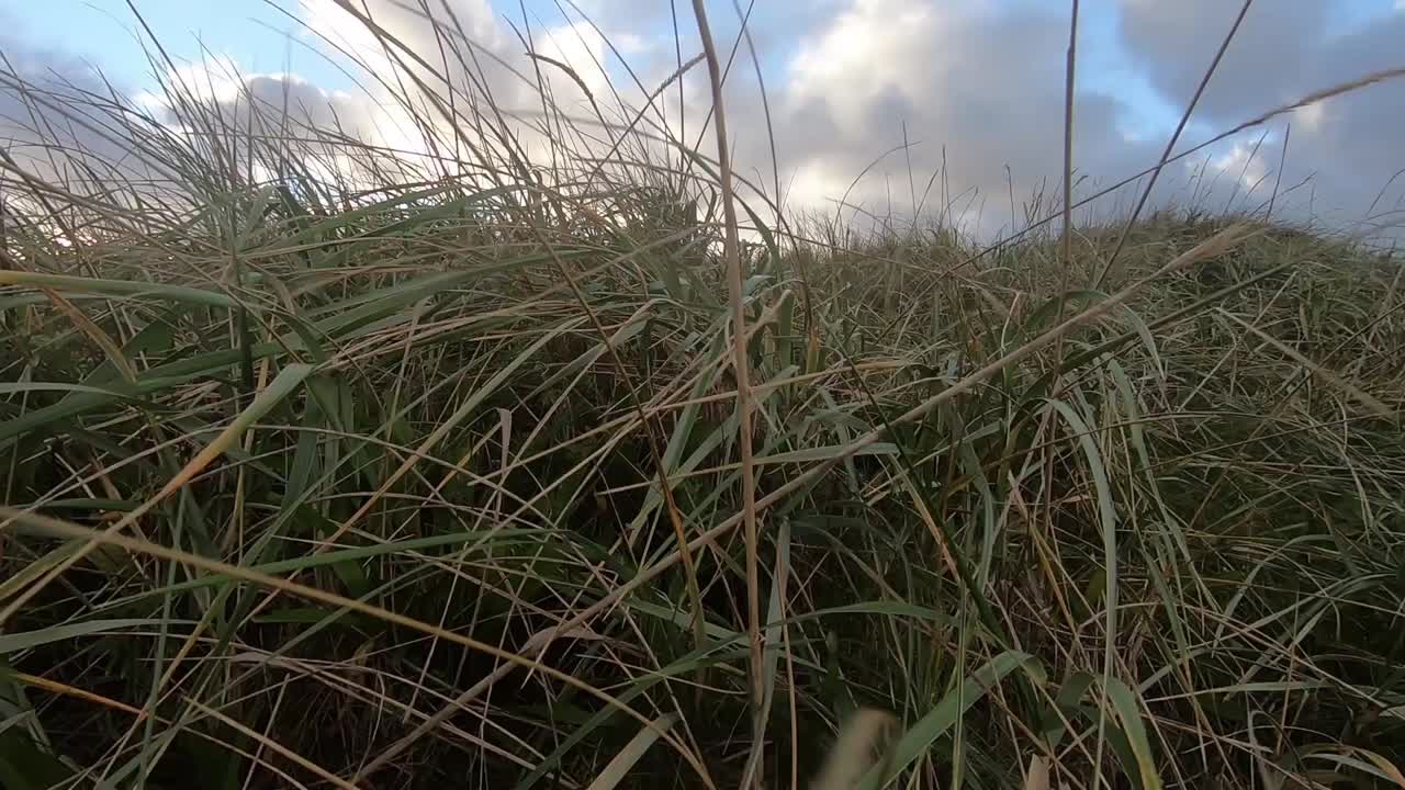 conduciendo en una tarde tormentosa en el campo