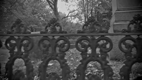 spooky visit to a graveyard