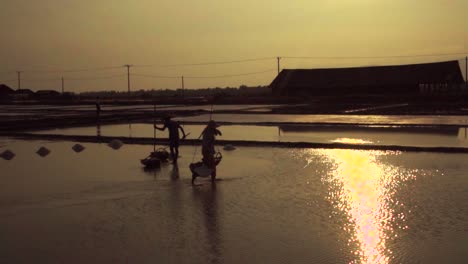 salt worker walking slo motion collecting the harvest silhouetted against the evening sun