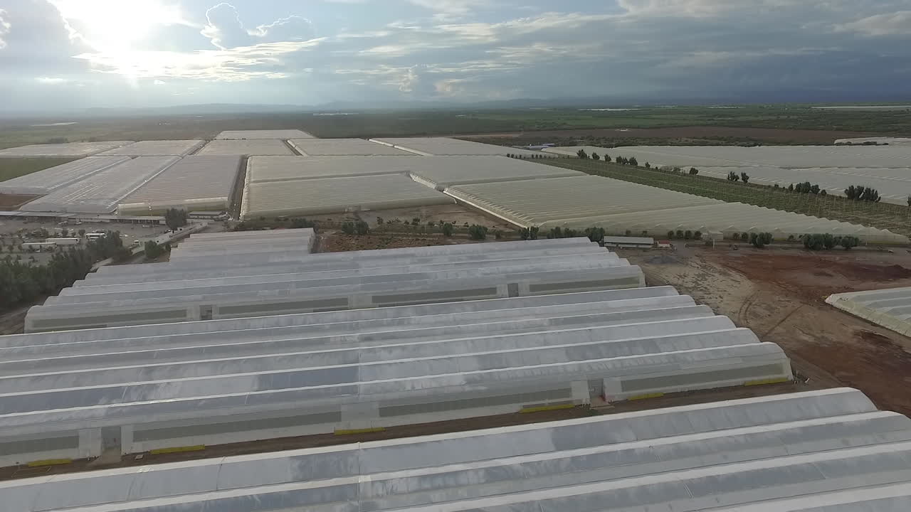 este es un paisaje mexicano de un vivero con variedades de vegetales fotografiados con un dron dji