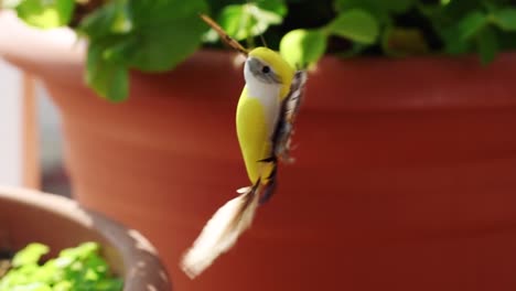 pájaro de juguete en maceta batiendo alas