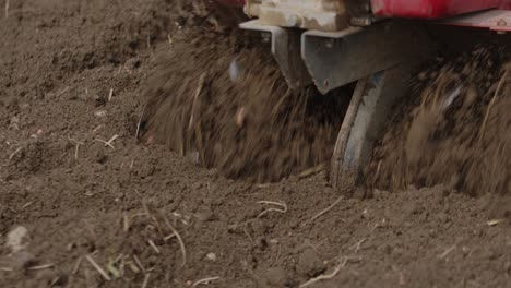 garden rotavator in action tilling soil. closeup shot