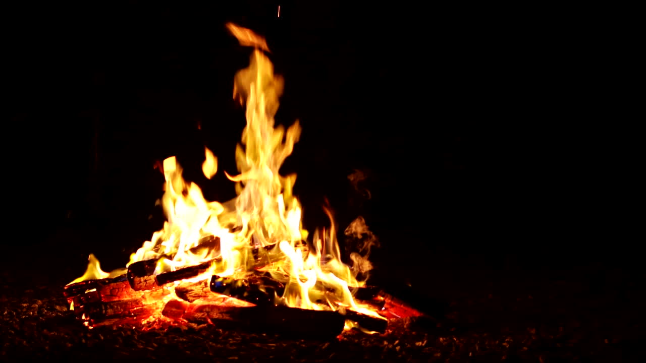 fogata en la noche