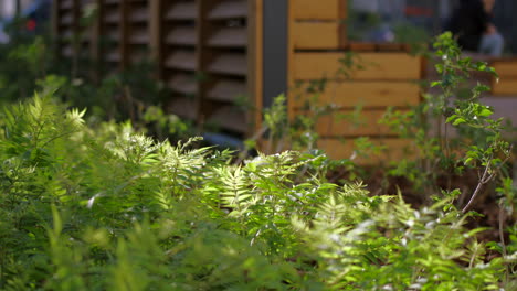 green plants near a wooden structure