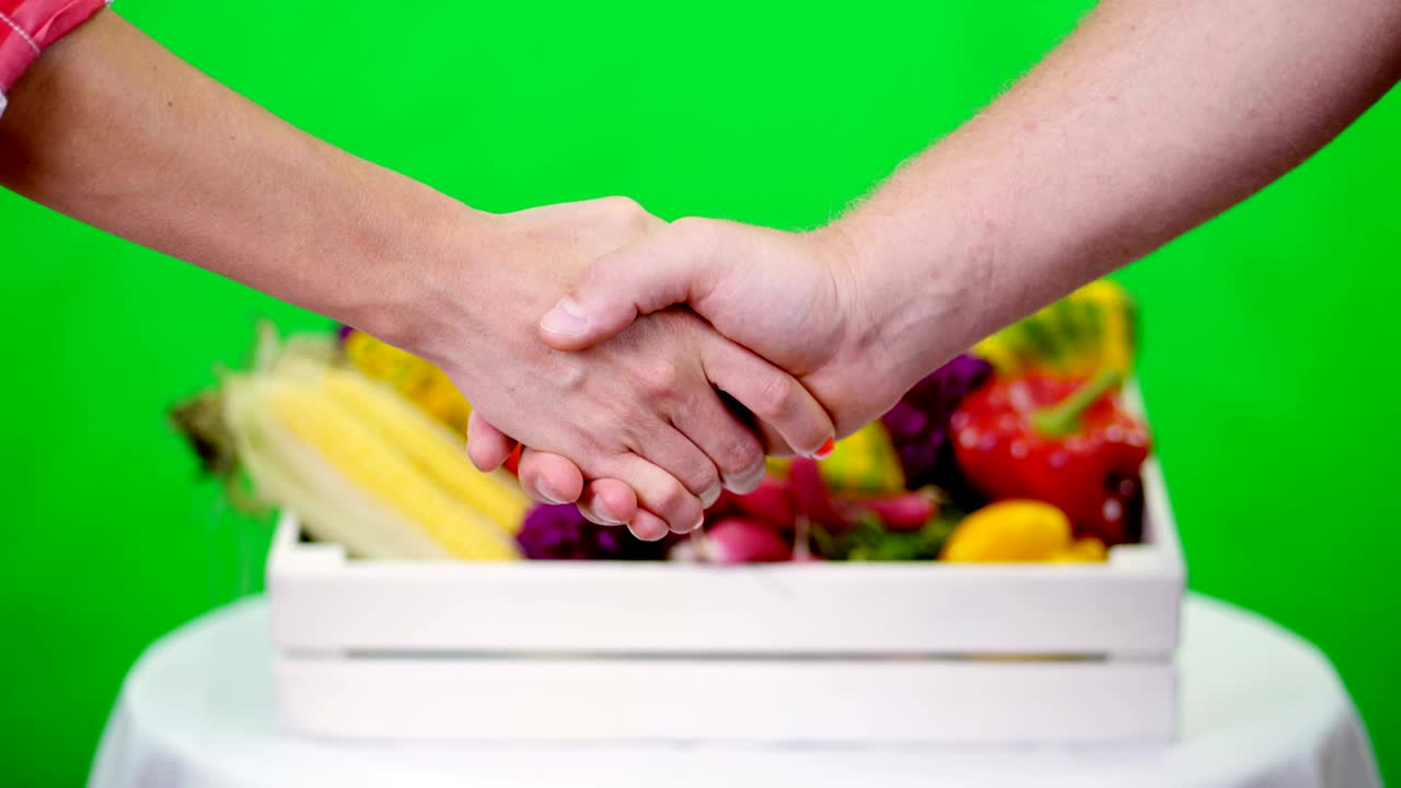 close-up, friendly handshake on Chromakey, green background and a box full of different vegetables, in studio. concept of crop counting, harvest of vegetables