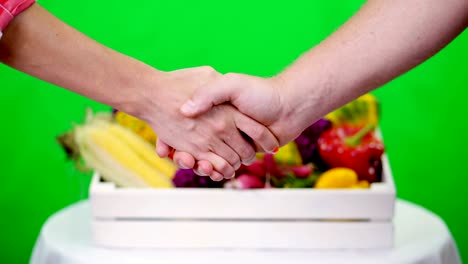 close-up, friendly handshake on chromakey, green background and a box full of different vegetables, in studio. concept of crop counting, harvest of vegetables