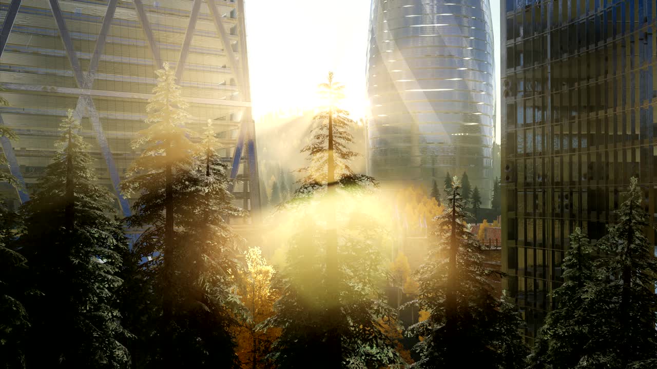 일몰 에 숲 과 초고층 건물 들