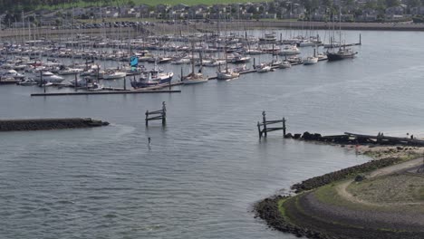 Very-wide-aerial-shot-of-a-kitesurfer-cruising-into-a-small-marina-with-yacht-and-village-in-the-background