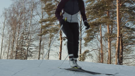 cross-country skiing in a winter forest