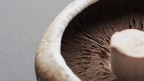 Micro-video-of-close-up-of-mushroom-with-copy-space-on-grey-background