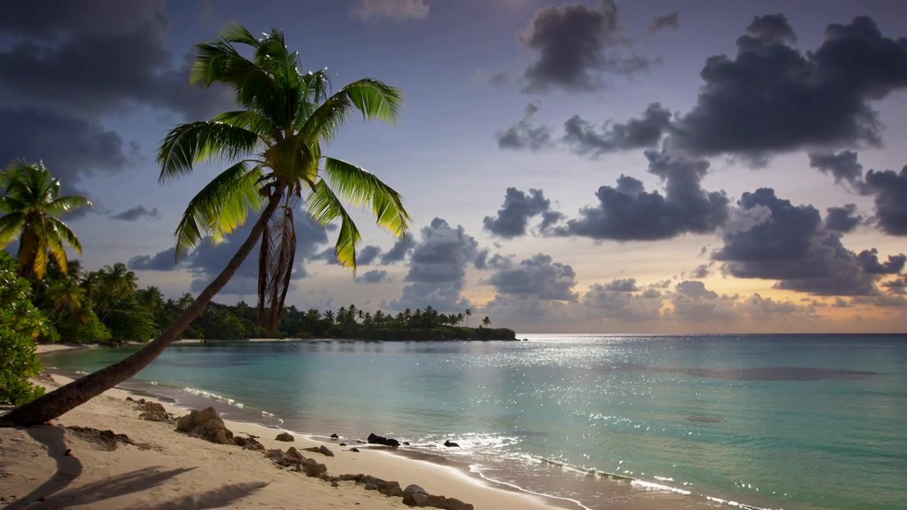 Il sole che scivola vicino all'orizzonte e la brezza che fa ondeggiare le palme inclinate sulla spiaggia, facendo luccicare il mare.