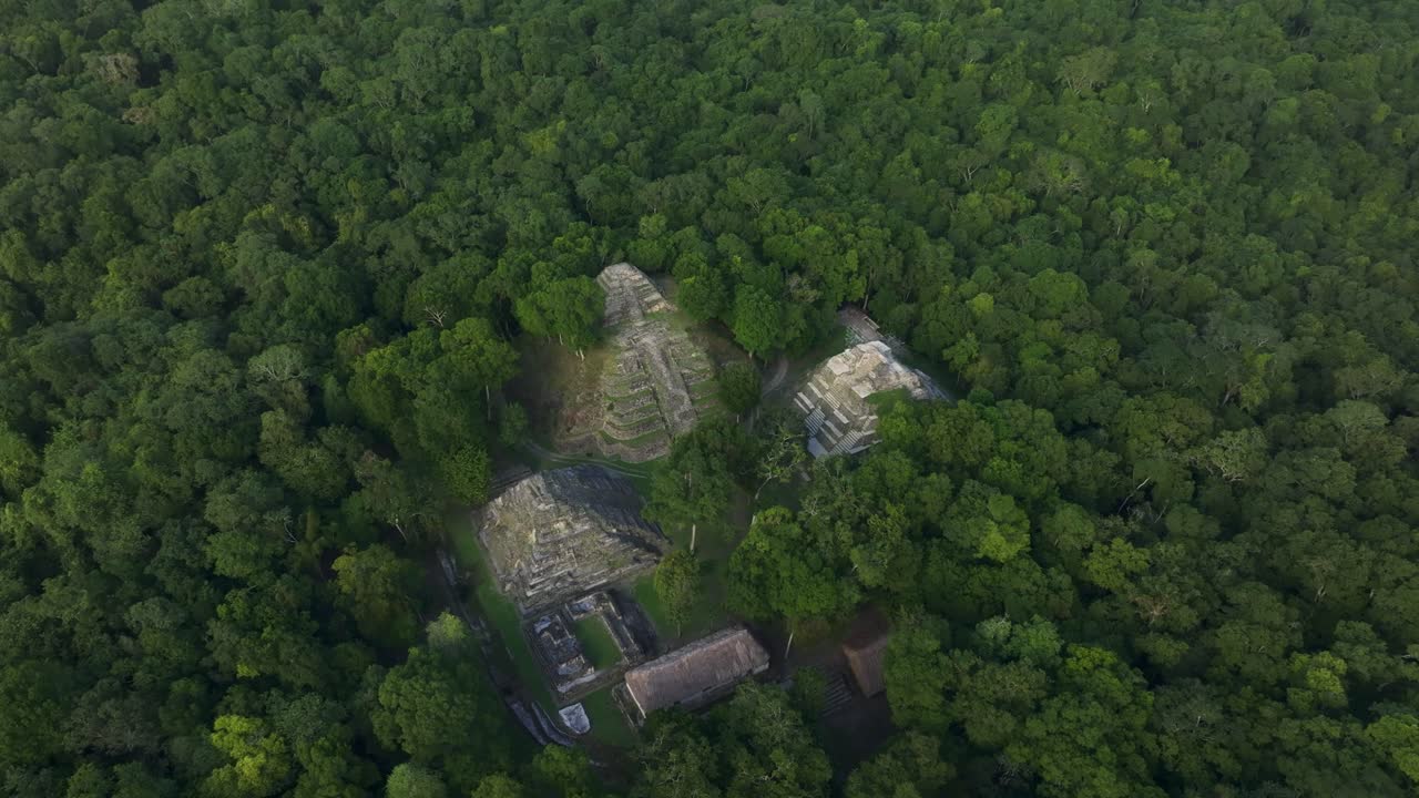 Vista aerea di antiche rovine Maya nella fitta giungla