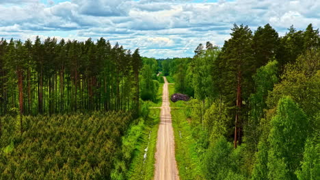 country road rural dirt open road one way system trip through tall forest tree, aerial