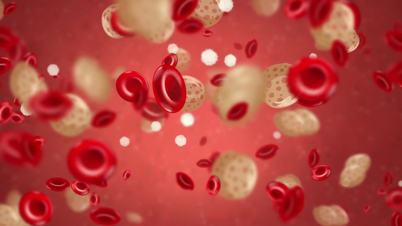 Microscopic animation renders red blood cells and leukocytes drifting seamlessly through a glowing bloodstream.