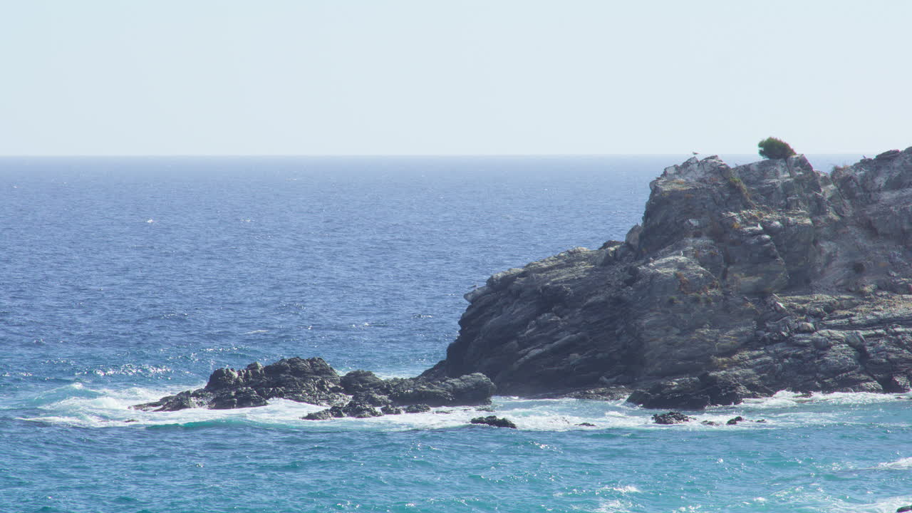Ampia inquadratura costiera che mostra onde turchesi infrangersi su rocce frastagliate, con un albero solitario e uccelli in lontananza. Luminoso, grezzo e naturalmente bello