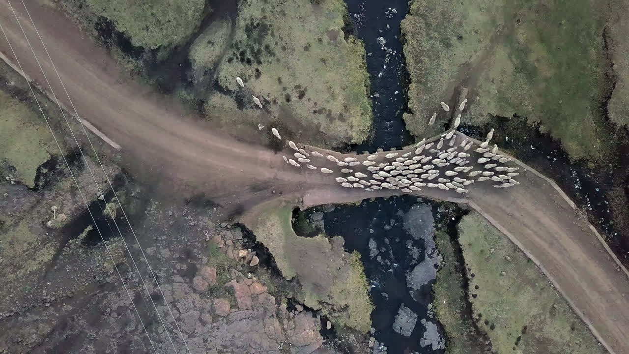 Do we know where we're going to?