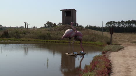 seabird observatory with a sculpture of two pink flamingos