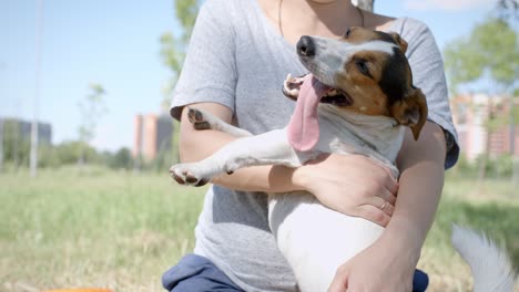 woman with her dog on the grass