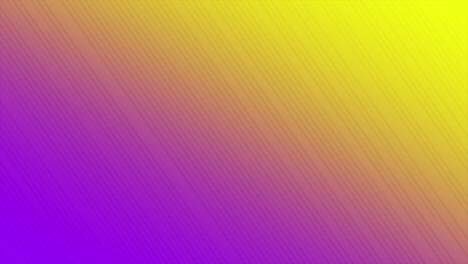 rainbow lines pattern on fashion gradient