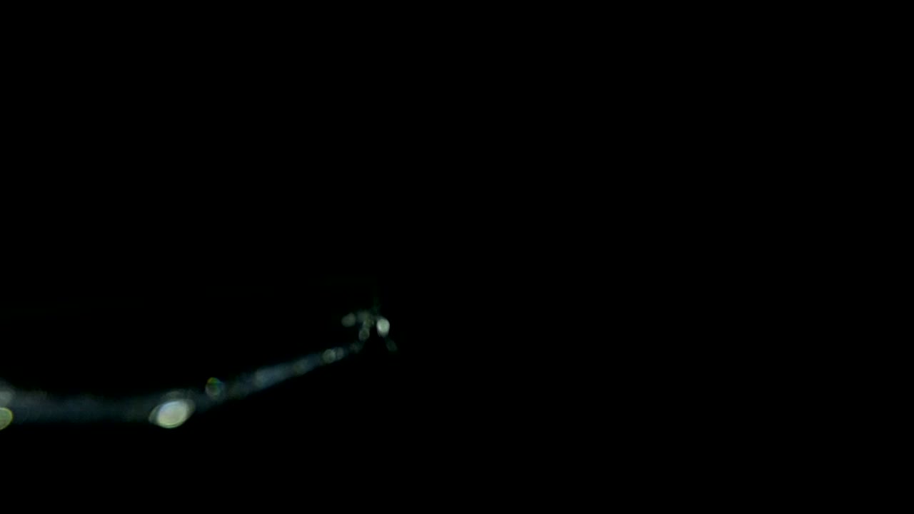 빛 누출 요소 472